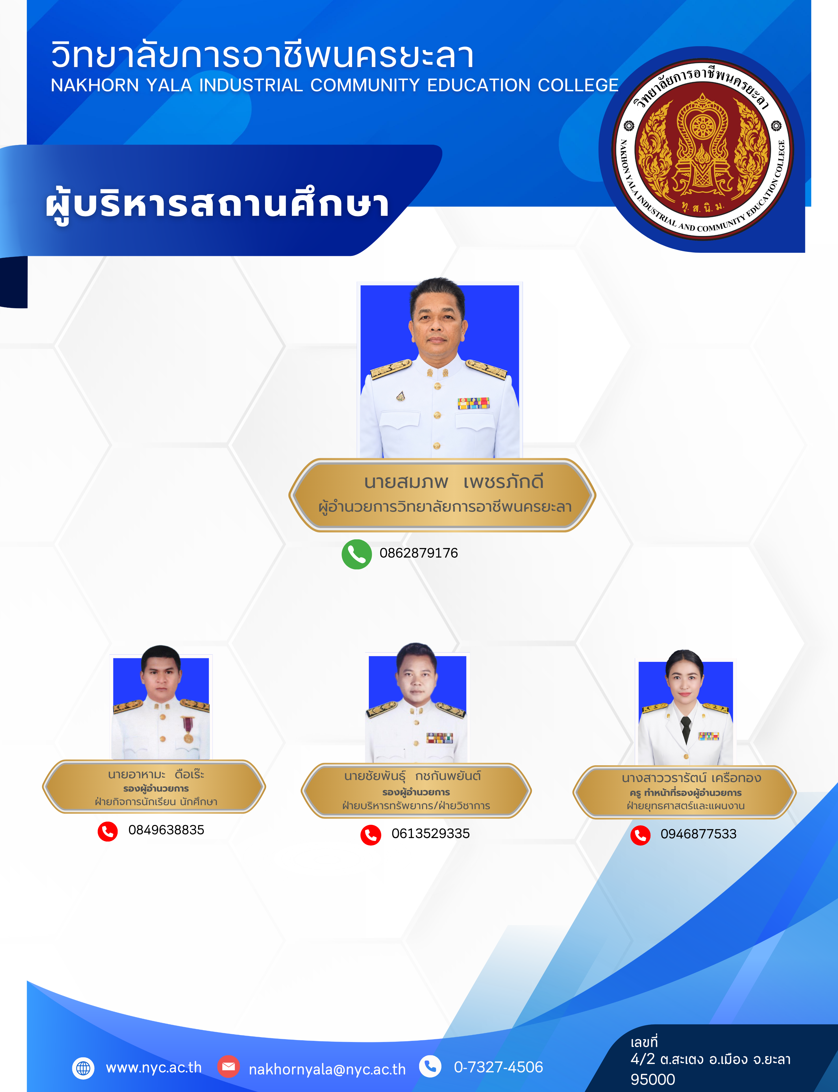 Board Director